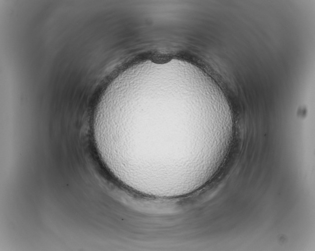 X0000089950032200707271849