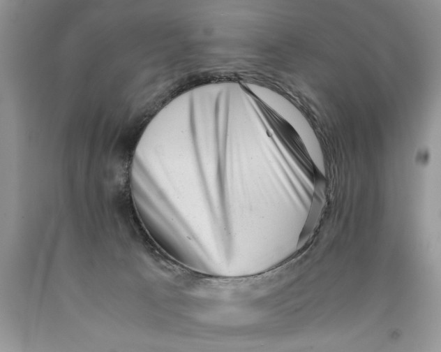 X0000089950033200707271849