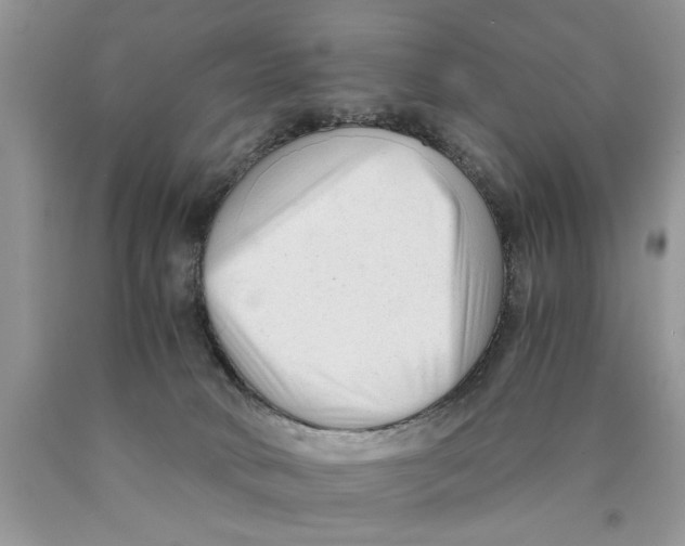 X0000089950034200707271849