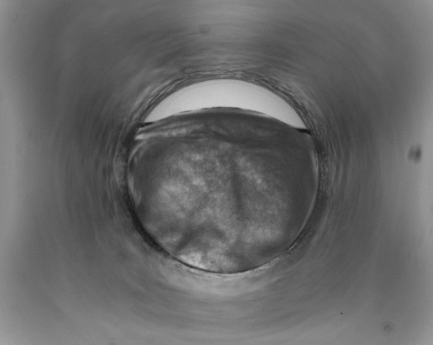 X0000089950035200707271849