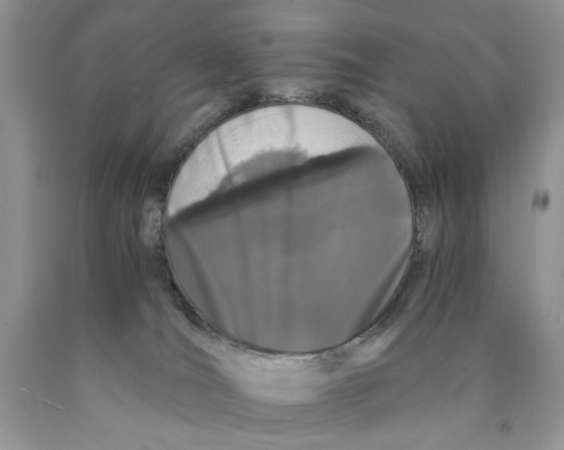 X0000089950036200707271849