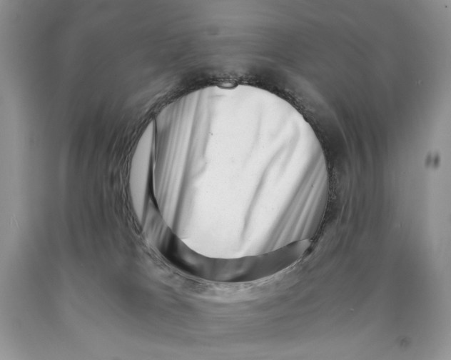 X0000089950037200707271849