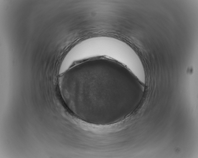 X0000089950039200707271849