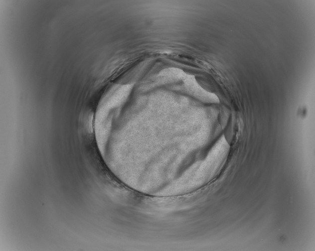X0000089950041200707271849
