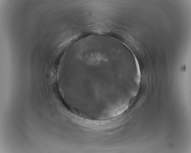 X0000089950043200707271849