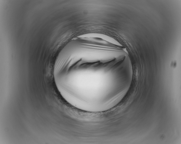 X0000089950044200707271849