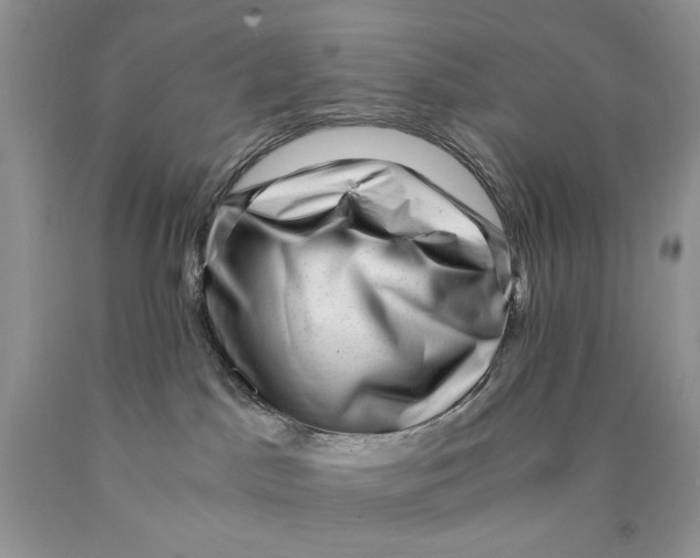 X0000089950045200707271849