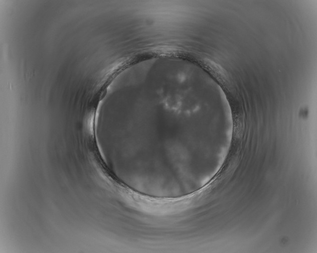 X0000089950047200707271849