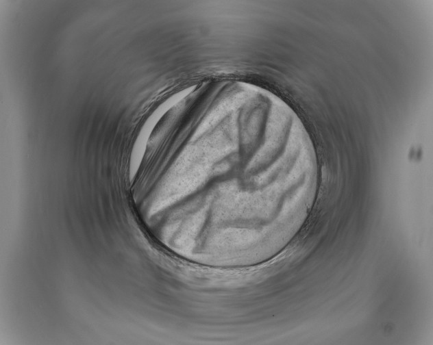 X0000089950048200707271849