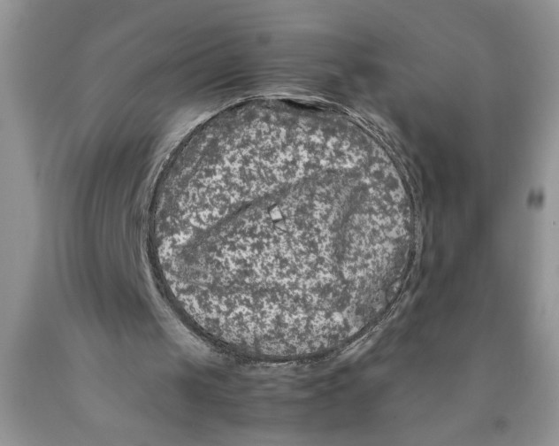 X0000089950049200707271849