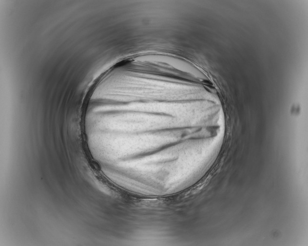 X0000089950050200707271849