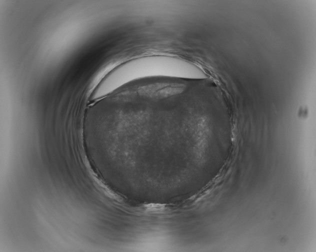 X0000089950052200707271849