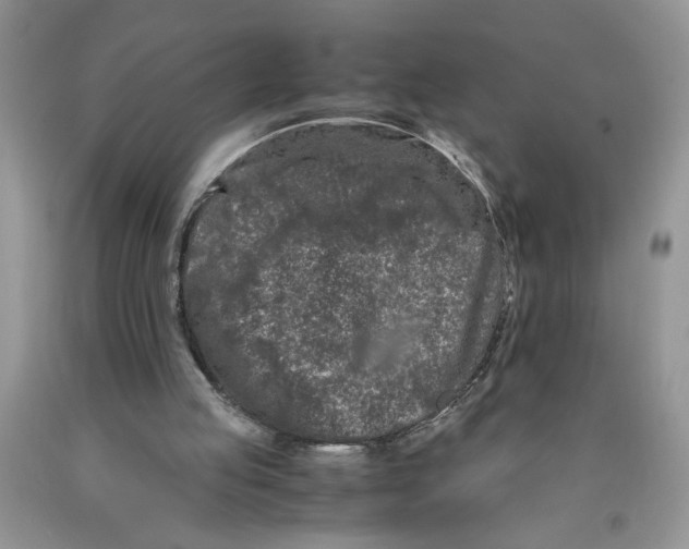X0000089950053200707271849