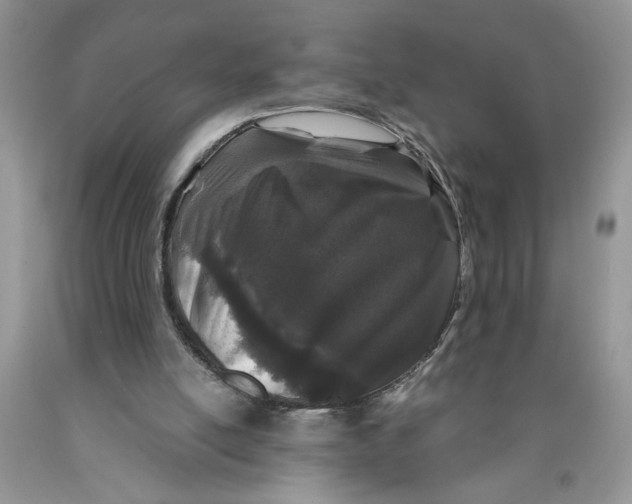 X0000089950054200707271849