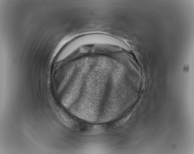 X0000089950056200707271849