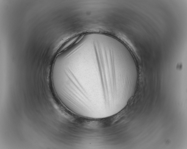 X0000089950058200707271849