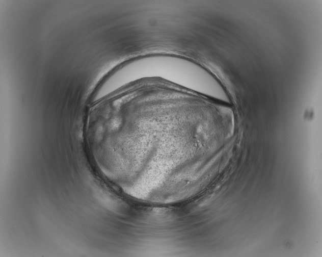 X0000089950060200707271849
