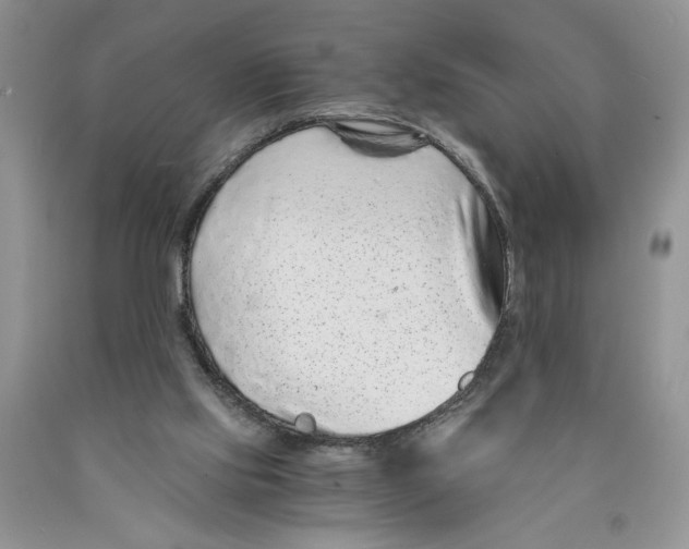 X0000089950061200707271849