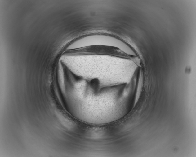 X0000089950063200707271849