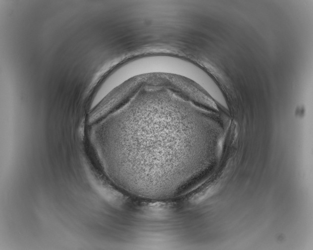 X0000089950064200707271849