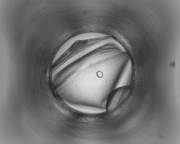 X0000089950065200707271849