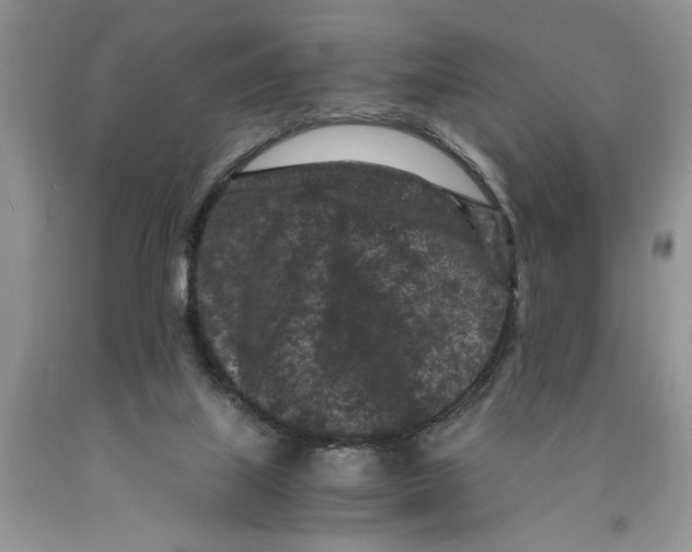 X0000089950067200707271849