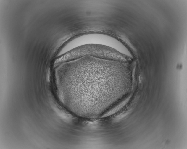 X0000089950068200707271849
