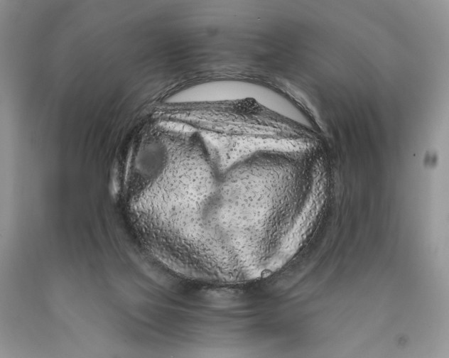 X0000089950069200707271849