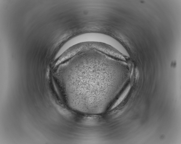 X0000089950072200707271849
