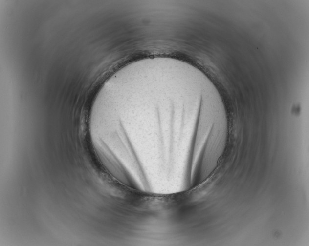 X0000089950074200707271849