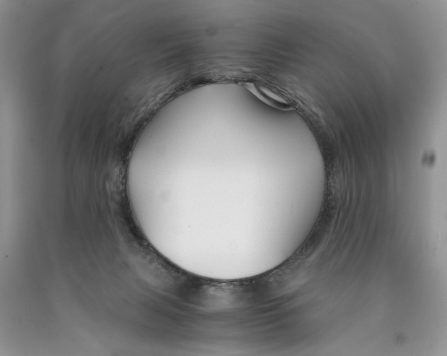 X0000089950079200707271849