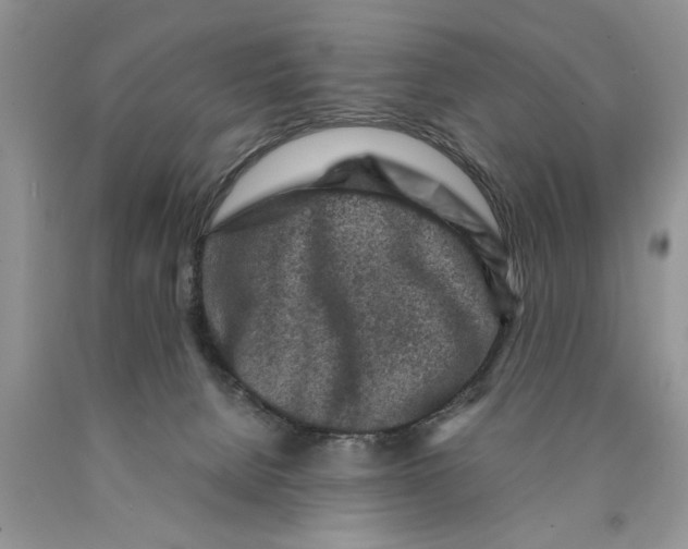 X0000089950080200707271849