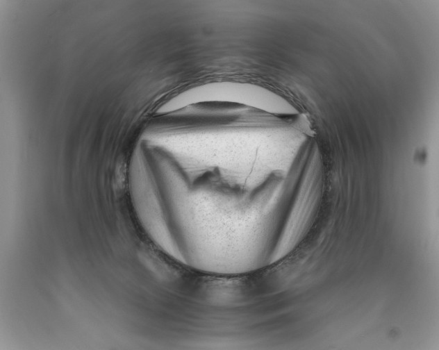 X0000089950081200707271849