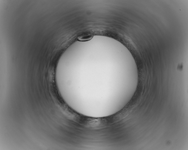 X0000089950083200707271849
