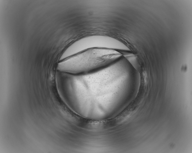 X0000089950084200707271849
