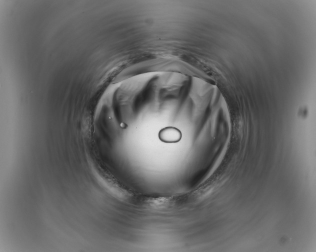 X0000089950092200707271849