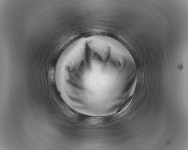 X0000089950094200707271849