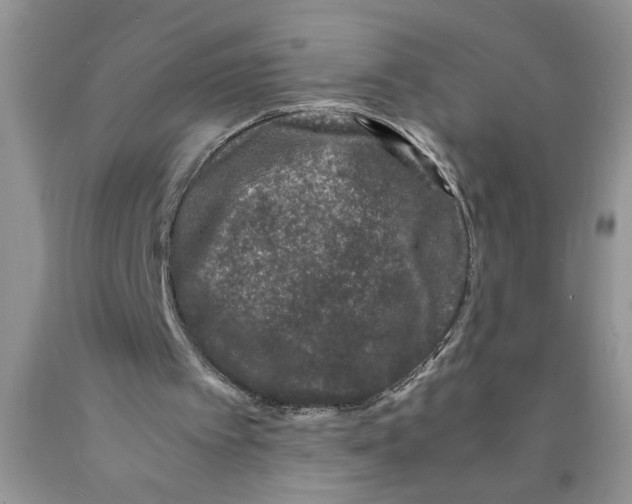 X0000089950097200707271849