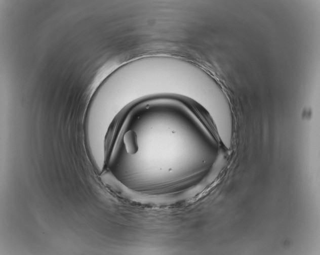 X0000089950099200707271849