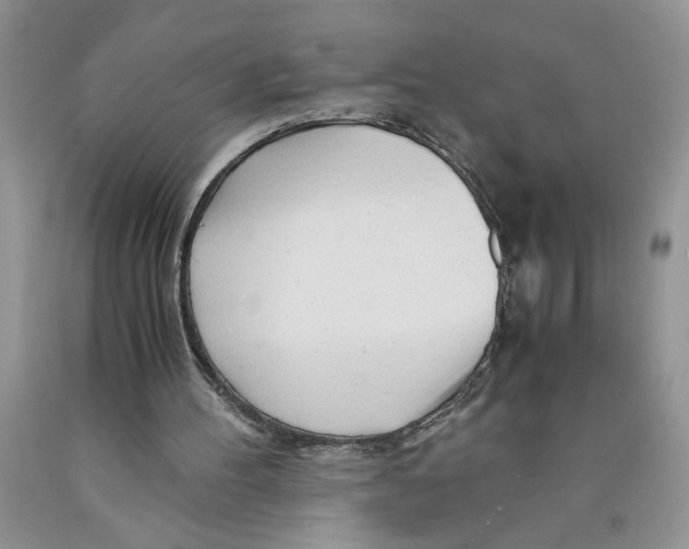 X0000089950100200707271849