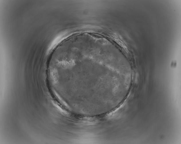 X0000089950101200707271849