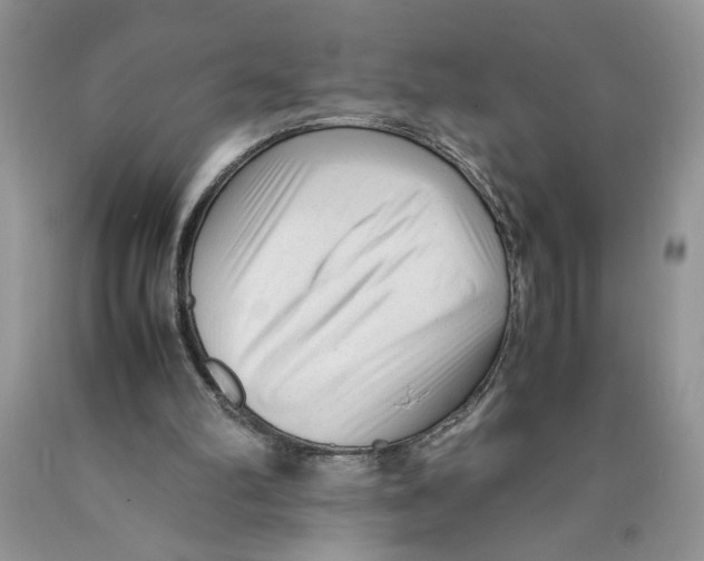 X0000089950102200707271849