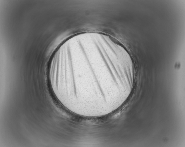 X0000089950103200707271849