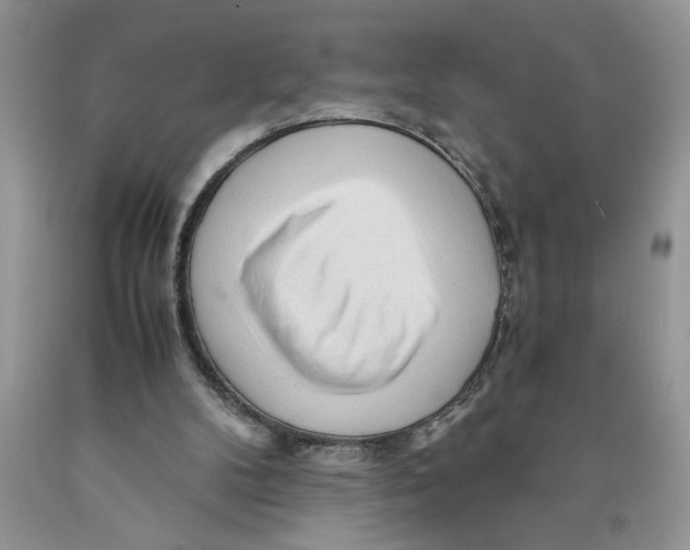 X0000089950104200707271849