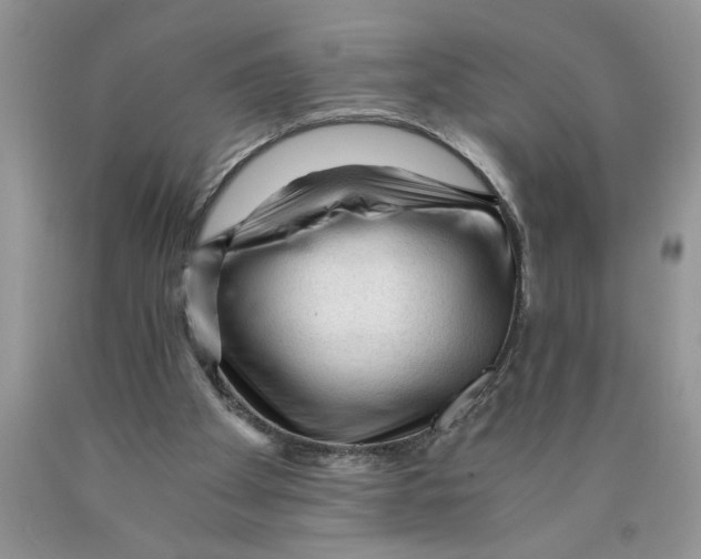 X0000089950105200707271849