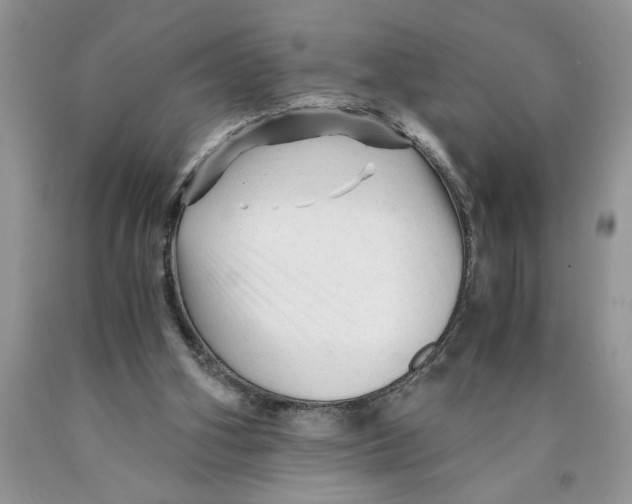 X0000089950106200707271849