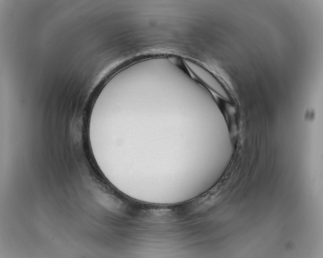 X0000089950108200707271848
