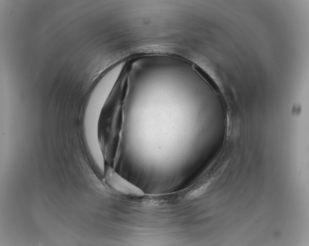 X0000089950109200707271848