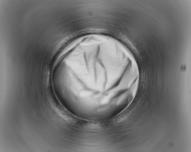 X0000089950110200707271848