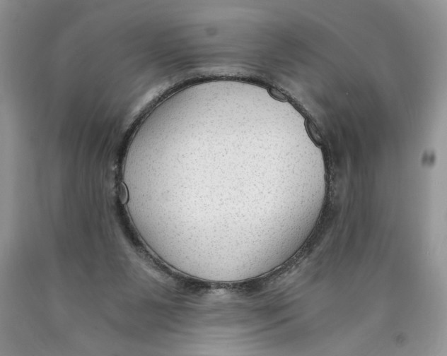 X0000089950111200707271848